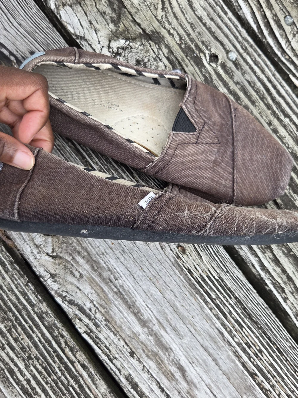 Toms Black Canvas